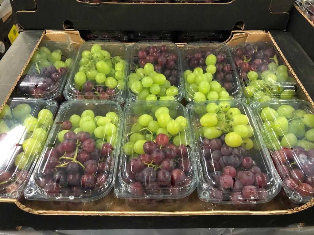 Table Grapes Detail 6